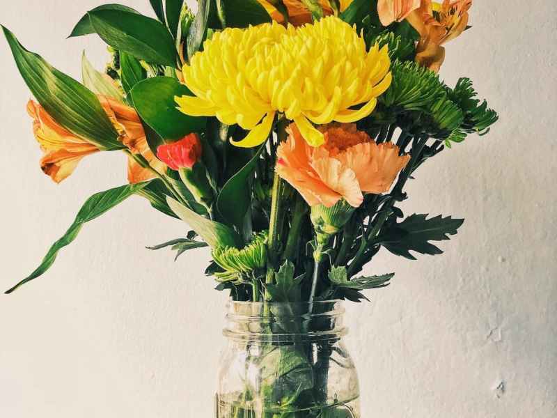 Tüm Çift Ruhlulara Selam&nbsp;Olsun